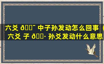 六爻 🐯 中子孙发动怎么回事（六爻 子 🕷 孙爻发动什么意思）